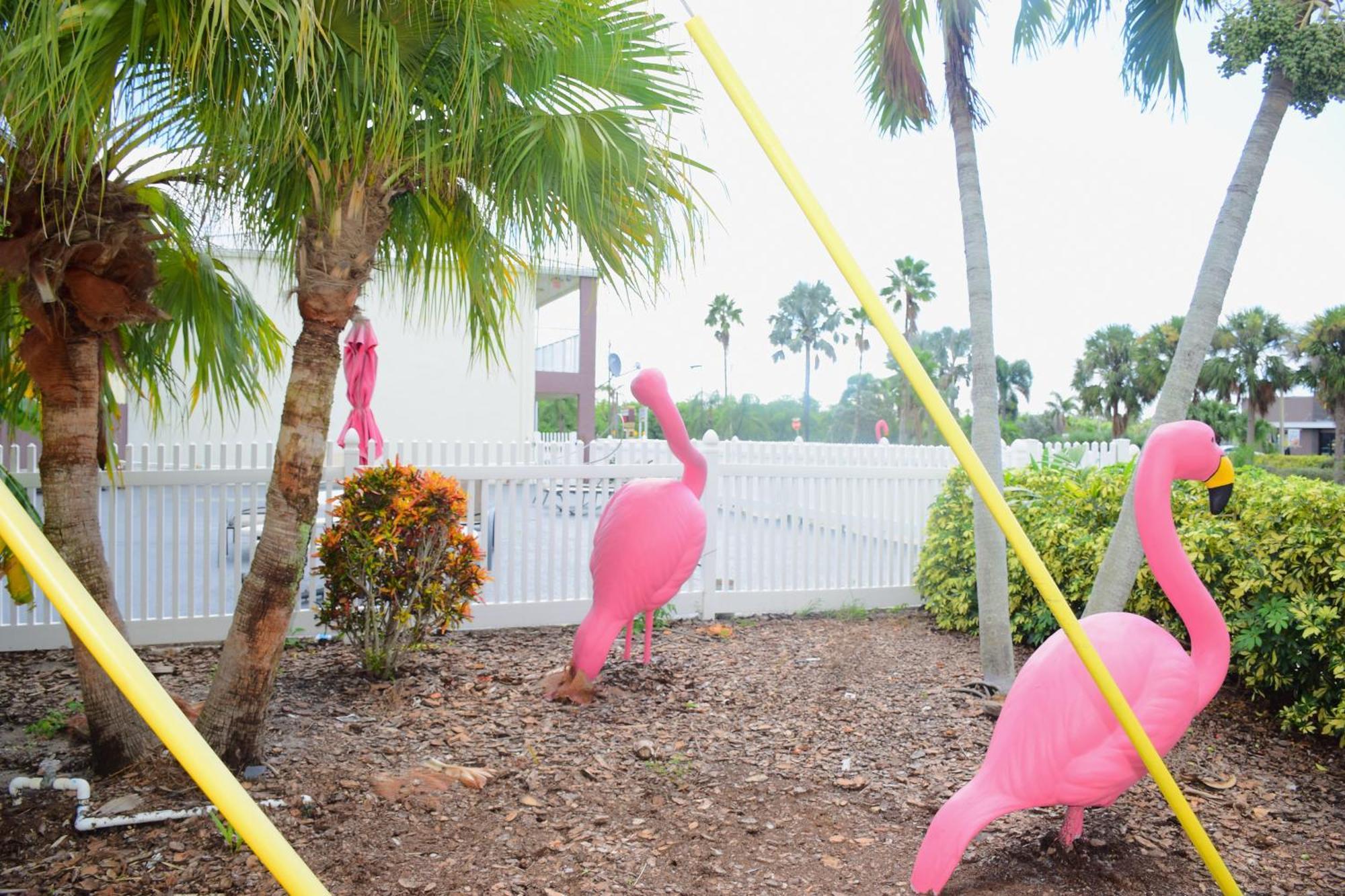 Flamingo Motel โอคีโชบี ภายนอก รูปภาพ